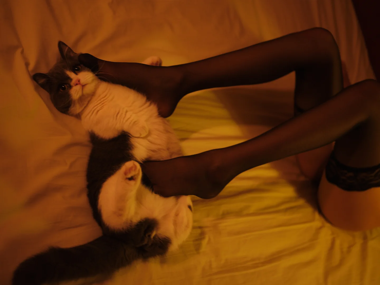 一米八的大梨子 - No.035 复活黑 [27P-132MB] tg@simisebaisi 【丝足阁】001.webp